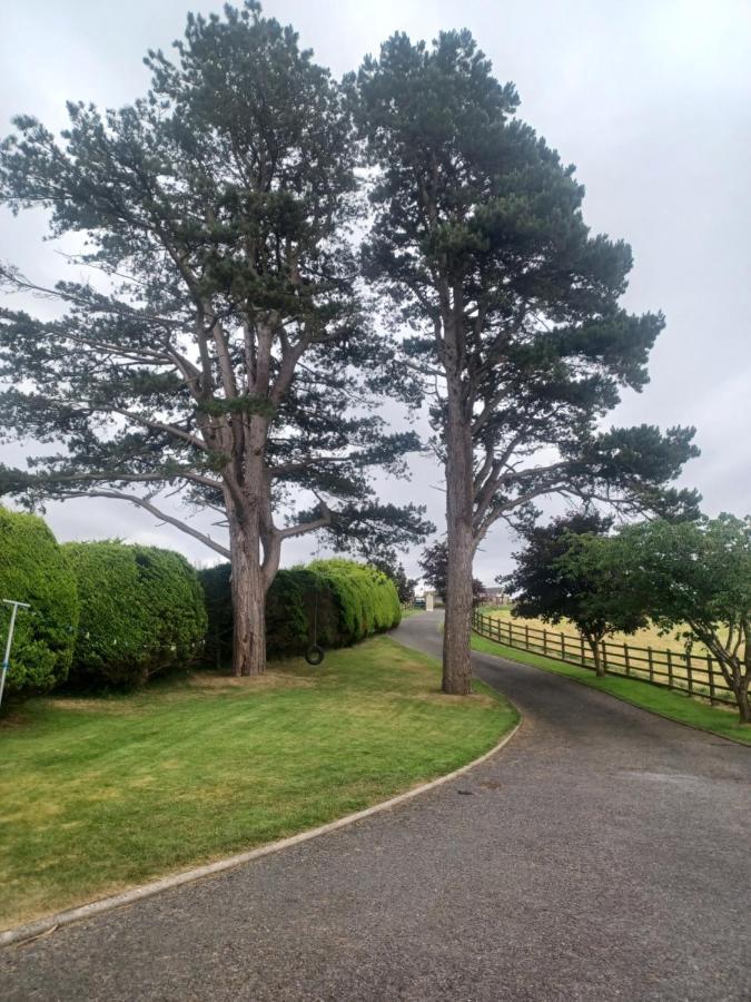 شقة Loughview Retreat In The Mournes نيوكاسل المظهر الخارجي الصورة