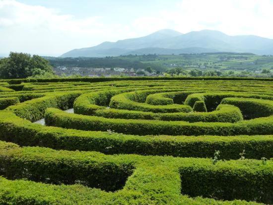 شقة Loughview Retreat In The Mournes نيوكاسل المظهر الخارجي الصورة